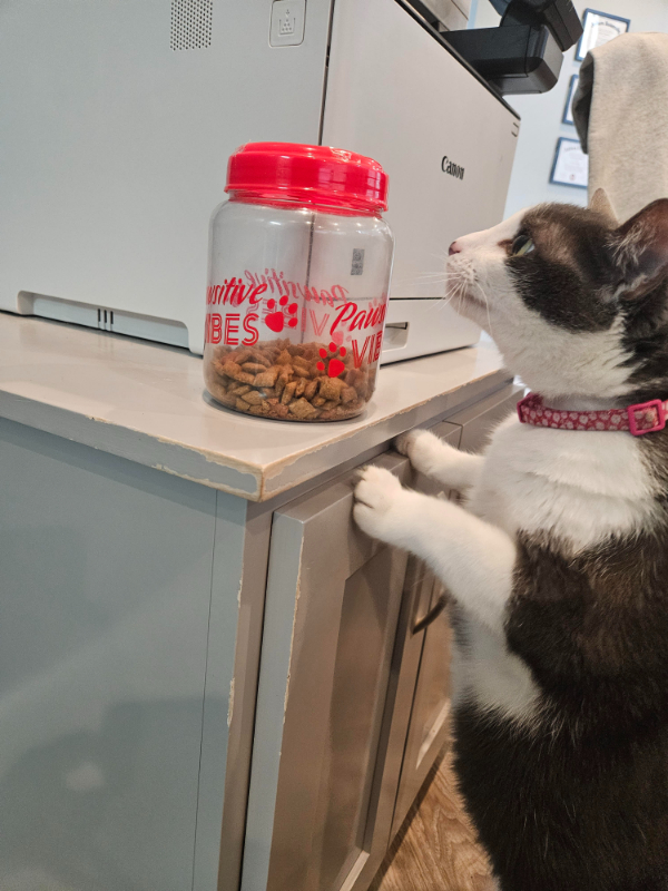 Nutritional Counseling Russellville, KY