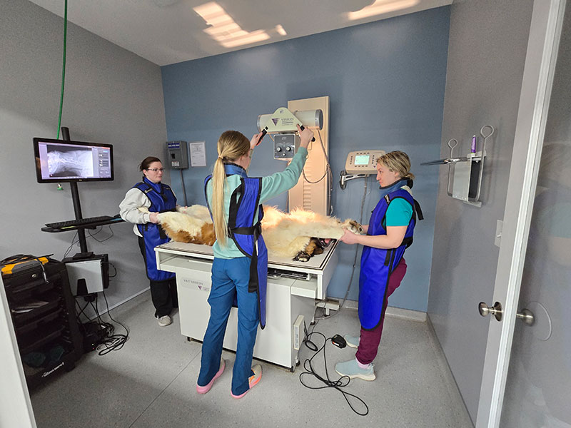 Advanced Digital X-rays Russellville, KY