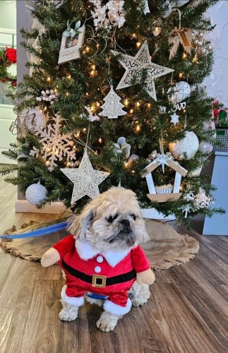 4Hn8dNQDZi1JvyDtQGZVa3fMA_uR1Ni6Bg