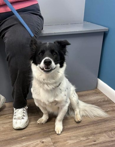 7fL5vNBHO95gjVu_4TkaF7hc3Gex4kO2kg