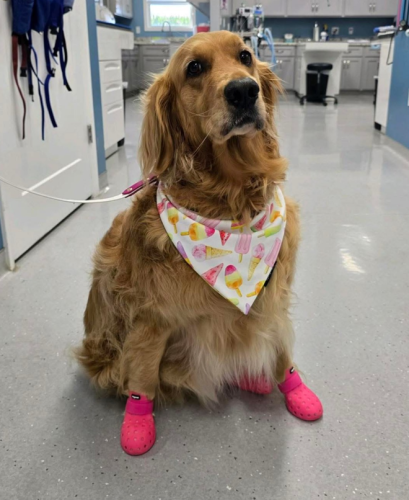 Captura de pantalla 2026-03-06 151921