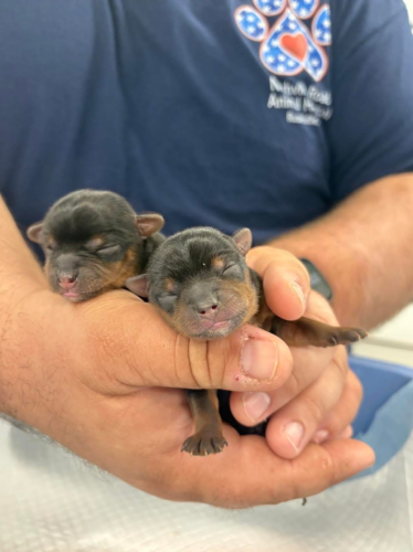 Captura de pantalla 2026-03-06 152000