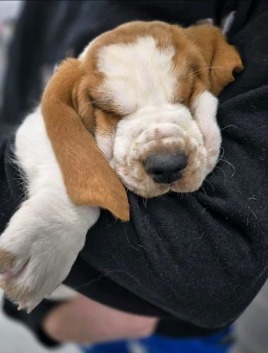 GyPfdTButQK2A3-MdZ9iVku8asx6sFZCdg