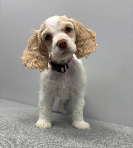 WmPfMrtC8y8lJzrGRubE3umztTJruul-pg